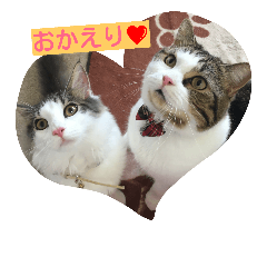 [LINEスタンプ] umi＆taiga