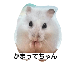 [LINEスタンプ] Hamster and Bird No,3