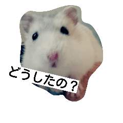 [LINEスタンプ] Hamster and Bird No,2