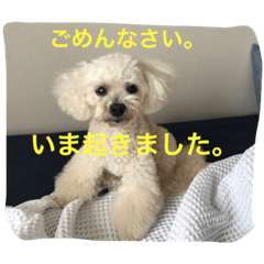 [LINEスタンプ] そら日和