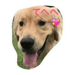 [LINEスタンプ] マツレオ