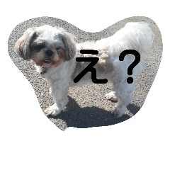 [LINEスタンプ] ちぃちゃんず