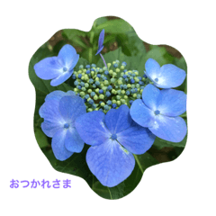 [LINEスタンプ] my garden