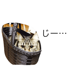 [LINEスタンプ] にこねろさら♡3