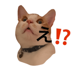[LINEスタンプ] オトくんスタンプ