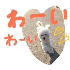 [LINEスタンプ] ソル君のスタンプ
