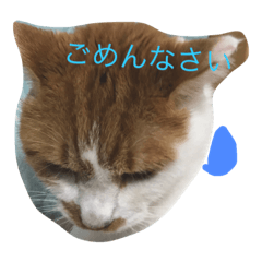 [LINEスタンプ] シシャモ姫の月曜日