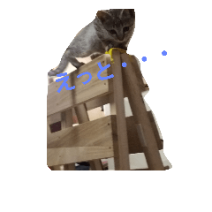 [LINEスタンプ] 猫祭り2
