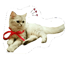 [LINEスタンプ] Vivi様