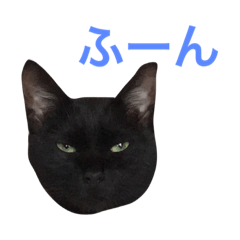 [LINEスタンプ] HANA  black cat