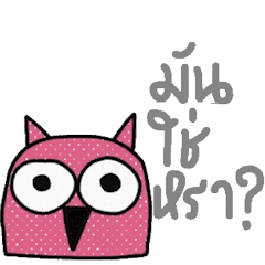 [LINEスタンプ] Happy Owl, Straight to the point.の画像（メイン）