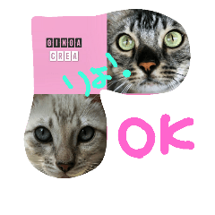 [LINEスタンプ] BengalCat Gin＆Cra part1