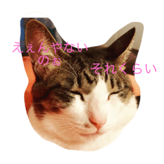 [LINEスタンプ] もこみみさん
