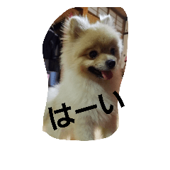 [LINEスタンプ] kintarohk