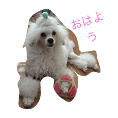 [LINEスタンプ] 日常02