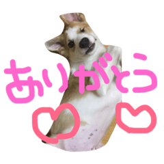 [LINEスタンプ] oira katameken