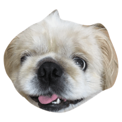 [LINEスタンプ] ぺぇたん