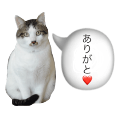 [LINEスタンプ] リリロン
