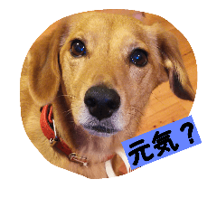 [LINEスタンプ] ぐりたん2