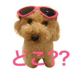 [LINEスタンプ] 気ままなここにゃん 第1弾