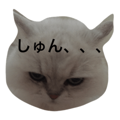 [LINEスタンプ] Mii no tubuyaki