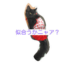 [LINEスタンプ] ホワイティ