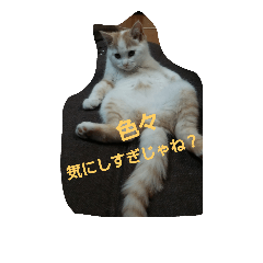[LINEスタンプ] ぽんたのつぶやき