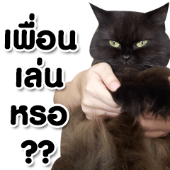 [LINEスタンプ] her name is Charlot