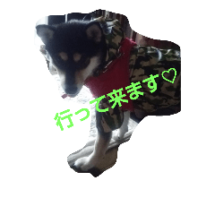 [LINEスタンプ] Kurosiba  MARO