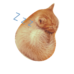 [LINEスタンプ] タマの寝言