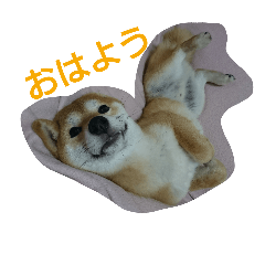 [LINEスタンプ] ゆきちライフ