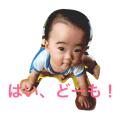 [LINEスタンプ] カヴィちゃんスタンプ❸