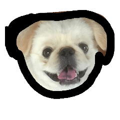 [LINEスタンプ] Happy✩PekiDog2