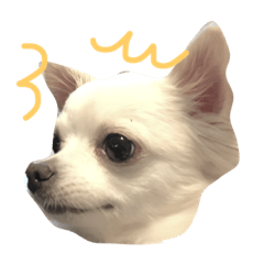 [LINEスタンプ] モカオモチ