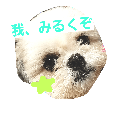 [LINEスタンプ] ぼくみるく
