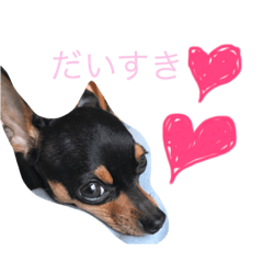 [LINEスタンプ] にこねろさら♡