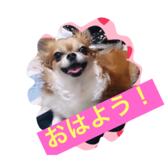 [LINEスタンプ] モモちゃんスマイル