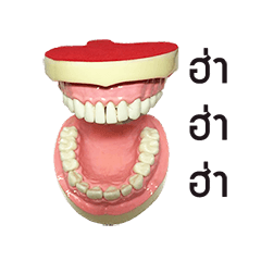 [LINEスタンプ] FUNFAA