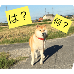 [LINEスタンプ] まお スタンプ