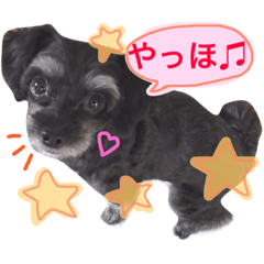 [LINEスタンプ] トトやんU^ェ^U②