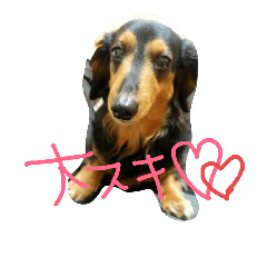 [LINEスタンプ] べるスタンプ