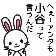 [LINEスタンプ] 小谷ってこたに？おたに？こや？おや？