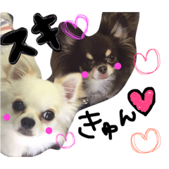 [LINEスタンプ] ココア♡ルル