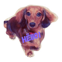 [LINEスタンプ] ルナメルすたんぷ