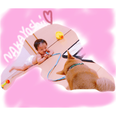 [LINEスタンプ] はくちゃん時々ぱすぱす