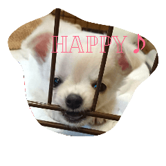 [LINEスタンプ] メルメルランド