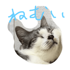 [LINEスタンプ] そうきのこのいちにち