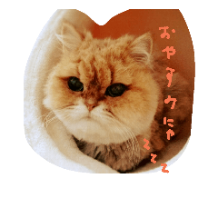 [LINEスタンプ] cats mill