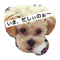 [LINEスタンプ] ぶさいくわんこ