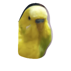 [LINEスタンプ] peetar